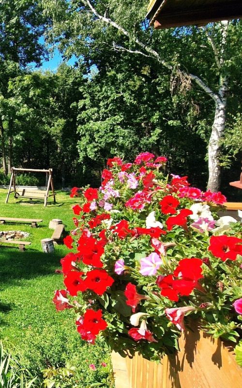 karpacz-bukowe zacisze-balkon-impreza